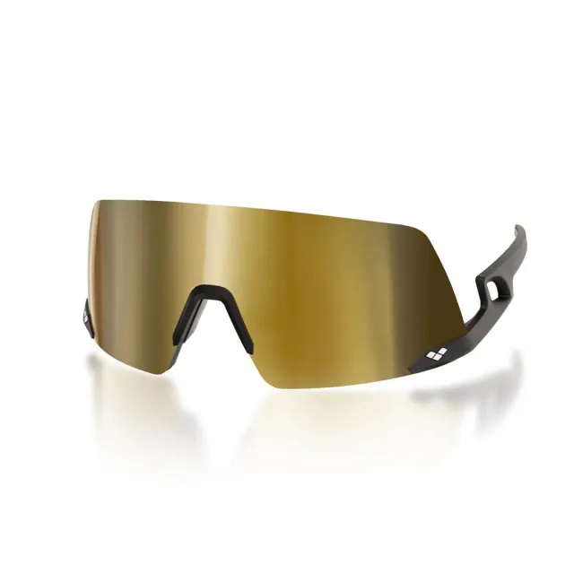 Arena Fulmine occhiali da sole Black Especial cat.3
